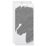 Silver Horses rack cards