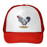 Silver Laced Wyandotte Rooster Hat