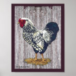 Silver Laced Wyandotte Rooster Poster