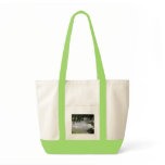 Silver Lake Framed by Evergreen Boughs Tote Bags