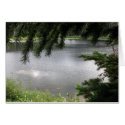 Silver Lake Framed by Evergreen Boughs cards