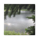 Silver Lake Framed by Evergreen Boughs magnets