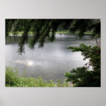 Silver Lake Framed by Evergreen Boughs Print