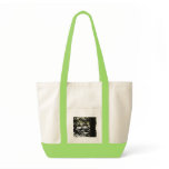 Silver Lake Through Pine Branches Canvas Bags