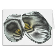 Silver Lilies Cards