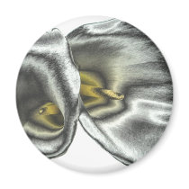 Silver Lilies Magnet