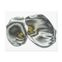 Silver Lilies Post Card