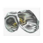 Silver Lilies postcards