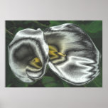 Silver Lilies Print Poster