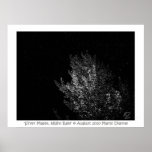 'Silver Maple, Night Rain'