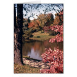 Silver Park in the Fall cards