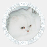 Silver Persian Cat Head Study Sticker
