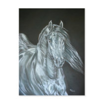 Silver Postcards