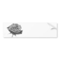 Silver Rose Flower
