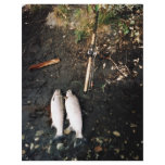 Silver Salmon or Coho Salmon Catch flyers