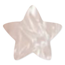 Silver Shine Lables Star
