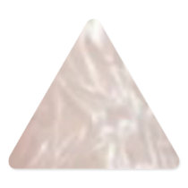 Silver Shine Lables Triangle