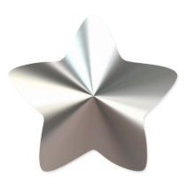 Silver Shining Star Stickers