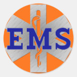 Silver Star of Life with Blue EMS Stickers