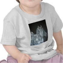Silver T Shirts