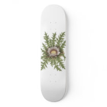 Silver Thistle Collection