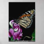 Silver-washed fritillary, Argynnis paphia Poster