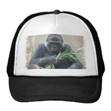 Silverback Gorilla Baseball Hat