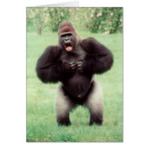 Silverback Gorilla Beating Chest Greeting Cards
