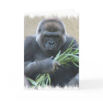 Silverback Gorilla Greeting Card