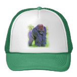 Silverback Gorilla in Oil Mesh Hats