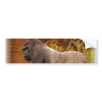 Silverback Gorilla Photo Bumper Sticker