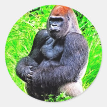 Silverback Gorilla Photo Painting Sticker