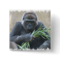 Silverback Gorilla Square Pin
