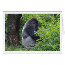 Silverback Greeting Card