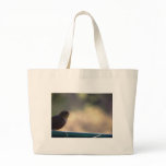 Silvereye bags