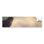 Silvereye bumper stickers