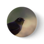 Silvereye buttons