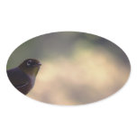 Silvereye stickers