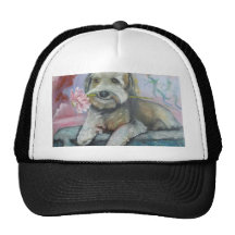 simpatia di un cane.jpg hat