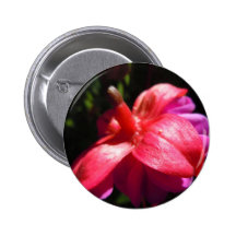 Simple fuschia buttons