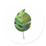 Simple Leaf Sticker