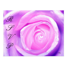 Simple, RSVP, S Cyr Post Card