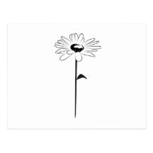 Simple Spring Daisy Post Cards