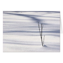 Simplicity Greeting Card