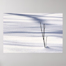 Simplicity Print