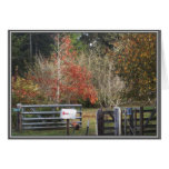 Simply Autumn Card