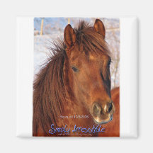 Simply Irresistible Rescue Horse Burrito Magnets