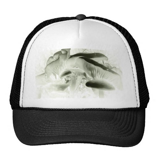 simply mushrooms hats