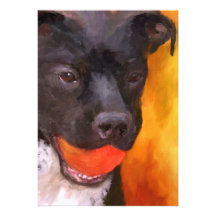 Simply Orange Dog 5x7 Mini Prints Personalized Invitation