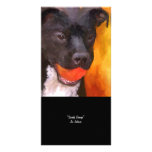 Simply Orange Dog Art Photo Card photo cards